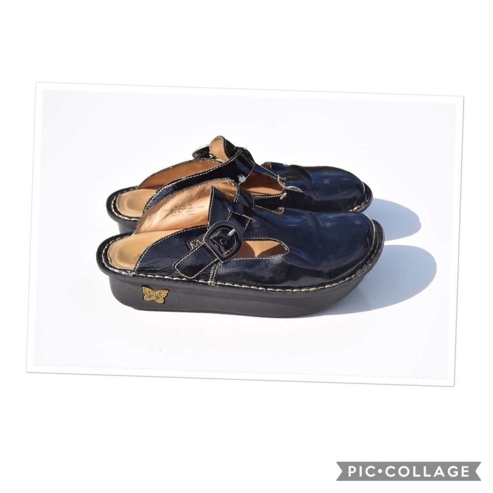 Alegria Paloma shoes